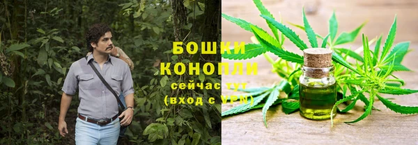 каннабис Беломорск