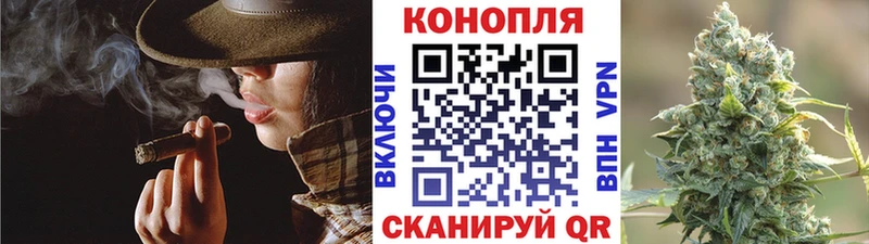 Каннабис конопля  Будённовск 